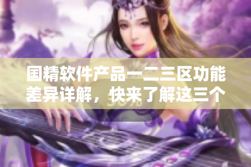 國(guó)精軟件產(chǎn)品一二三區(qū)功能差異詳解，快來(lái)了解這三個(gè)區(qū)之間的區(qū)別