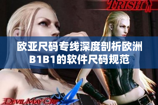 歐亞尺碼專線深度剖析歐洲B1B1的軟件尺碼規(guī)范