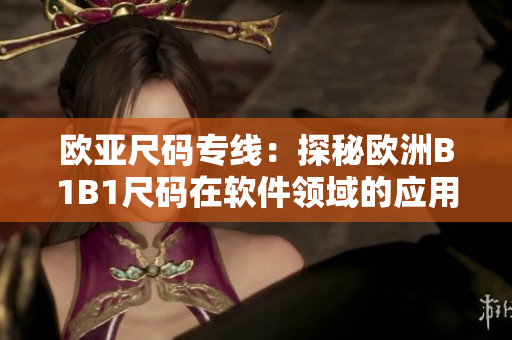 歐亞尺碼專線：探秘歐洲B1B1尺碼在軟件領(lǐng)域的應(yīng)用價值
