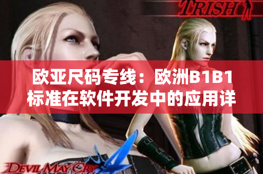 歐亞尺碼專線：歐洲B1B1標(biāo)準(zhǔn)在軟件開發(fā)中的應(yīng)用詳解