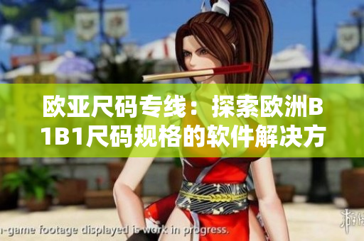 歐亞尺碼專線：探索歐洲B1B1尺碼規(guī)格的軟件解決方案