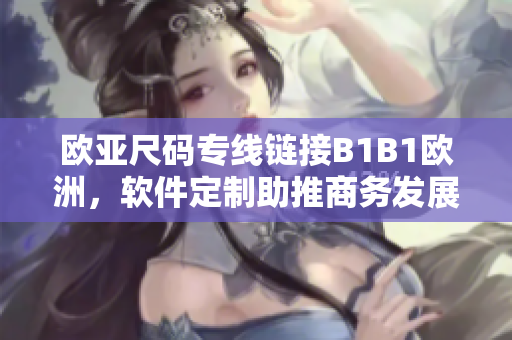 歐亞尺碼專(zhuān)線(xiàn)鏈接B1B1歐洲，軟件定制助推商務(wù)發(fā)展