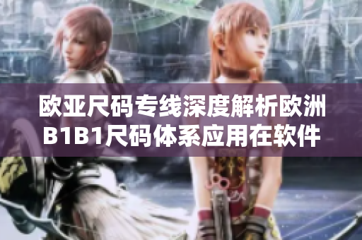 歐亞尺碼專線深度解析歐洲B1B1尺碼體系應用在軟件領域的實踐