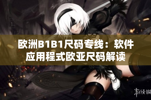 歐洲B1B1尺碼專線：軟件應(yīng)用程式歐亞尺碼解讀