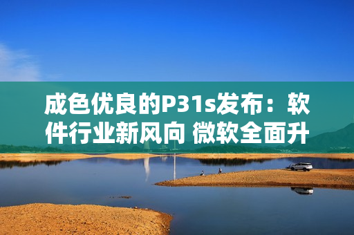 成色優(yōu)良的P31s發(fā)布：軟件行業(yè)新風(fēng)向 微軟全面升級(jí)