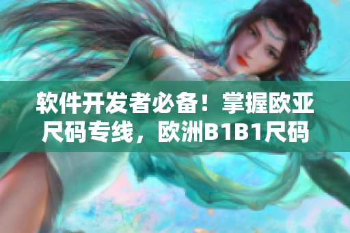 軟件開發(fā)者必備！掌握歐亞尺碼專線，歐洲B1B1尺碼揭秘