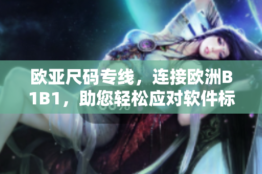 歐亞尺碼專線，連接歐洲B1B1，助您輕松應(yīng)對軟件標(biāo)準(zhǔn)大小