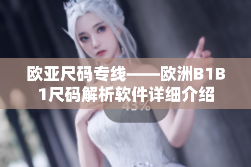 歐亞尺碼專線——歐洲B1B1尺碼解析軟件詳細介紹