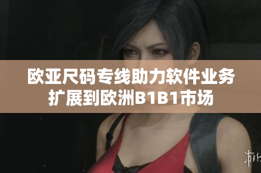 歐亞尺碼專線助力軟件業(yè)務(wù)擴(kuò)展到歐洲B1B1市場
