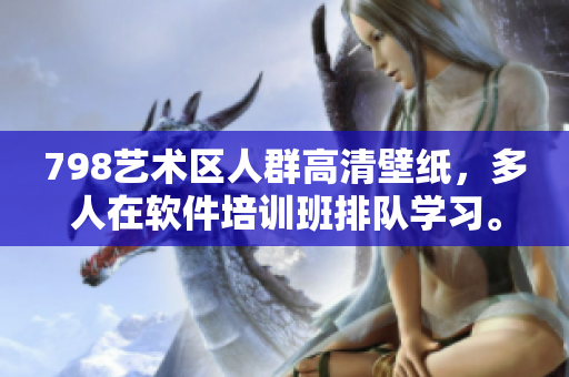 798藝術(shù)區(qū)人群高清壁紙，多人在軟件培訓(xùn)班排隊學(xué)習(xí)。