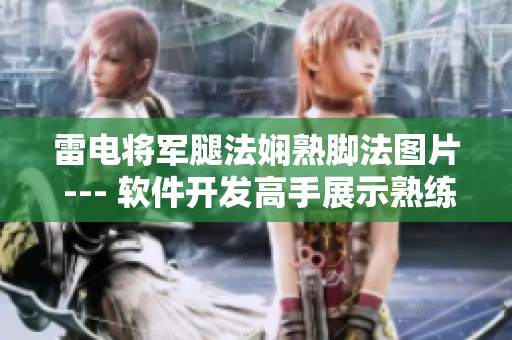 雷電將軍腿法嫻熟腳法圖片 --- 軟件開發(fā)高手展示熟練編碼技巧截圖