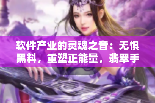 軟件產(chǎn)業(yè)的靈魂之音：無(wú)懼黑料，重塑正能量，翡翠手鐲引領(lǐng)著前行之路