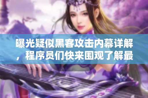 曝光疑似黑客攻擊內(nèi)幕詳解，程序員們快來圍觀了解最新信息