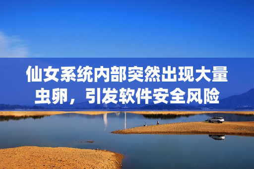 仙女系統(tǒng)內(nèi)部突然出現(xiàn)大量蟲卵，引發(fā)軟件安全風(fēng)險(xiǎn)