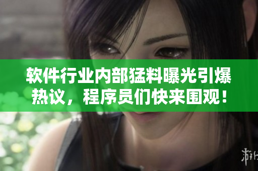 軟件行業(yè)內(nèi)部猛料曝光引爆熱議，程序員們快來圍觀！