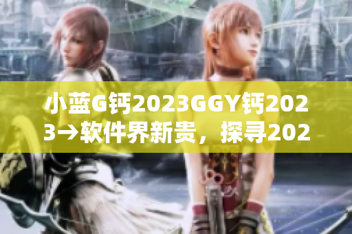 小藍(lán)G鈣2023GGY鈣2023→軟件界新貴，探尋2023年技術(shù)前沿