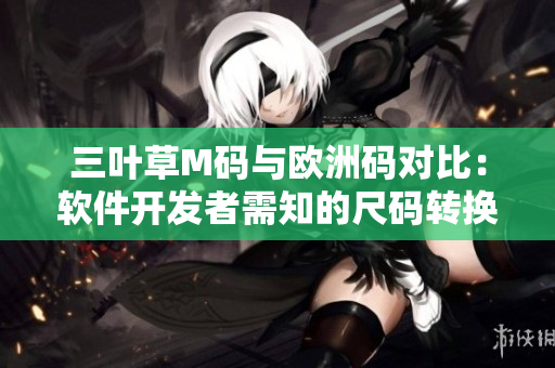 三葉草M碼與歐洲碼對(duì)比：軟件開發(fā)者需知的尺碼轉(zhuǎn)換全指南