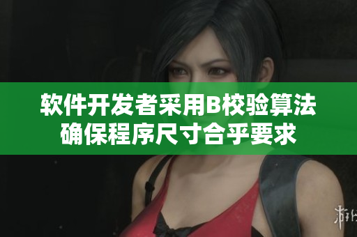 軟件開(kāi)發(fā)者采用B校驗(yàn)算法確保程序尺寸合乎要求