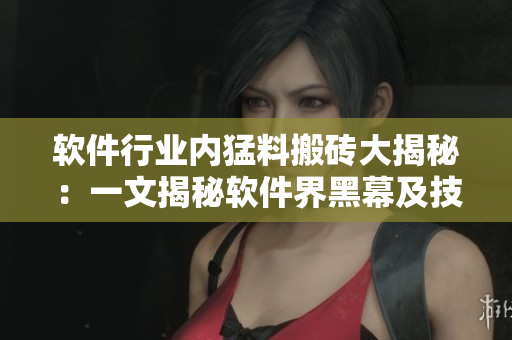 軟件行業(yè)內(nèi)猛料搬磚大揭秘：一文揭秘軟件界黑幕及技術(shù)人員日常瑣事