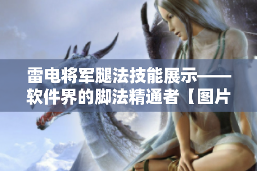 雷電將軍腿法技能展示——軟件界的腳法精通者【圖片集】