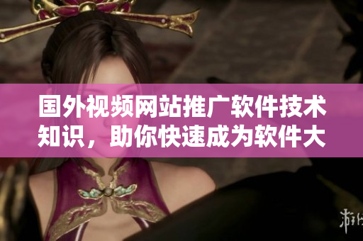 國外視頻網(wǎng)站推廣軟件技術(shù)知識，助你快速成為軟件大神