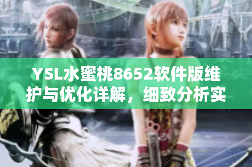 YSL水蜜桃8652軟件版維護(hù)與優(yōu)化詳解，細(xì)致分析實(shí)用技巧