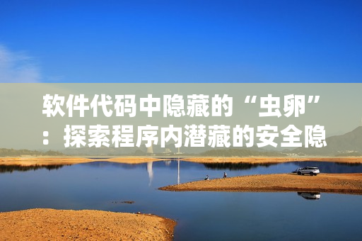 軟件代碼中隱藏的“蟲(chóng)卵”：探索程序內(nèi)潛藏的安全隱患