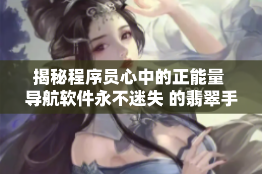 揭秘程序員心中的正能量 導航軟件永不迷失 的翡翠手鐲