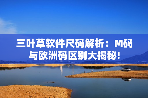 三葉草軟件尺碼解析：M碼與歐洲碼區(qū)別大揭秘!