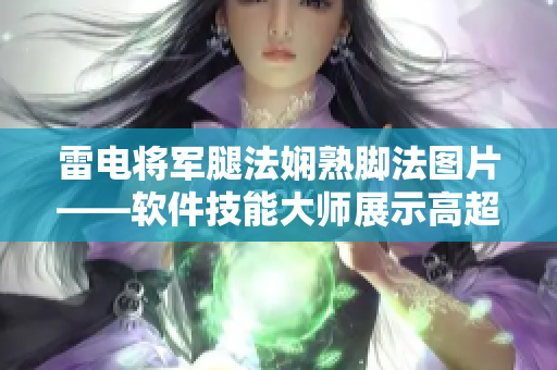 雷電將軍腿法嫻熟腳法圖片——軟件技能大師展示高超編程技藝