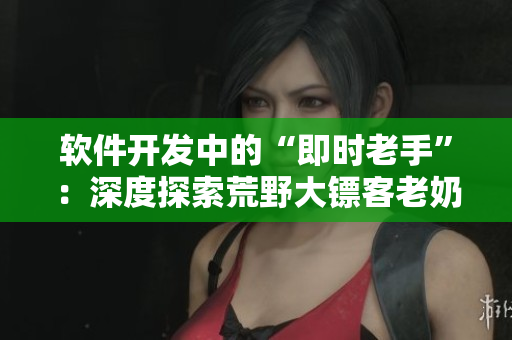 軟件開發(fā)中的“即時老手”：深度探索荒野大鏢客老奶奶