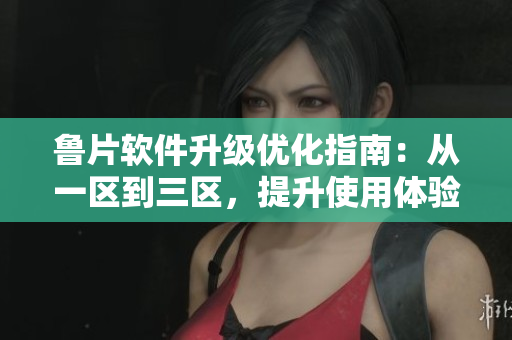 魯片軟件升級(jí)優(yōu)化指南：從一區(qū)到三區(qū)，提升使用體驗(yàn)