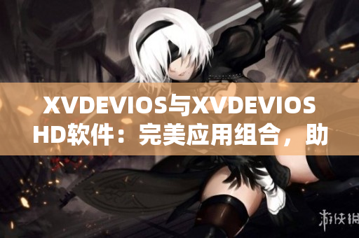 XVDEVIOS與XVDEVIOSHD軟件：完美應(yīng)用組合，助力您工作更高效