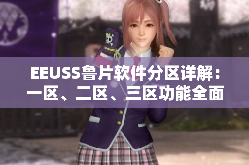 EEUSS魯片軟件分區(qū)詳解：一區(qū)、二區(qū)、三區(qū)功能全面解析