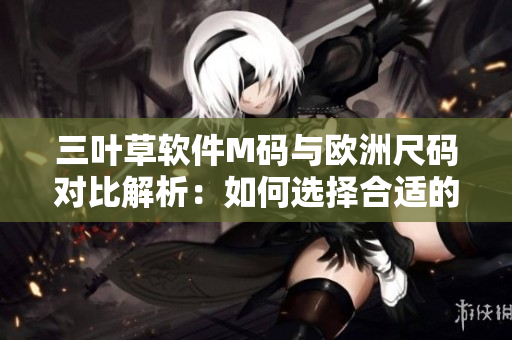 三葉草軟件M碼與歐洲尺碼對(duì)比解析：如何選擇合適的軟件版本？