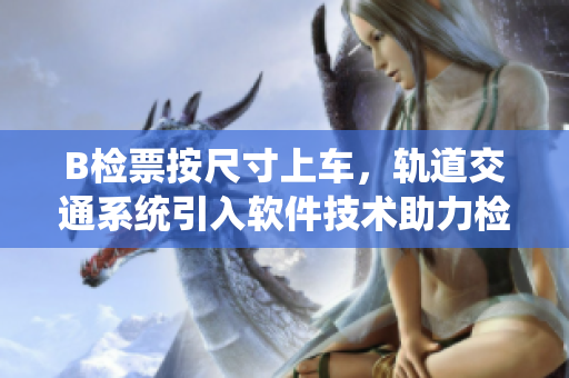 B檢票按尺寸上車，軌道交通系統(tǒng)引入軟件技術(shù)助力檢票員管理