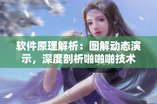 軟件原理解析：圖解動態(tài)演示，深度剖析啪啪啪技術(shù)