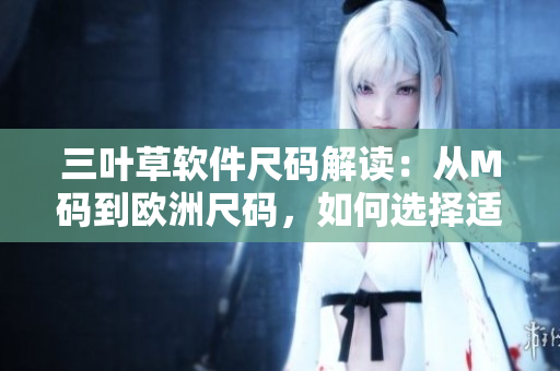 三葉草軟件尺碼解讀：從M碼到歐洲尺碼，如何選擇適合的軟件開(kāi)發(fā)工具？