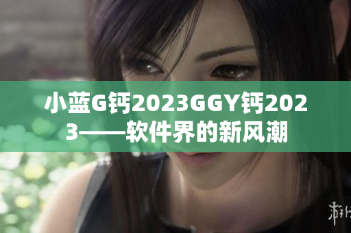 小藍(lán)G鈣2023GGY鈣2023——軟件界的新風(fēng)潮