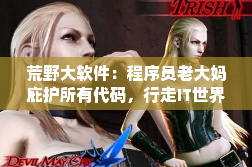 荒野大軟件：程序員老大媽庇護(hù)所有代碼，行走IT世界絕無Bug