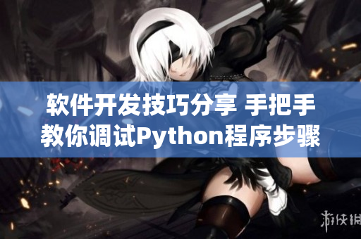 軟件開發(fā)技巧分享 手把手教你調(diào)試Python程序步驟