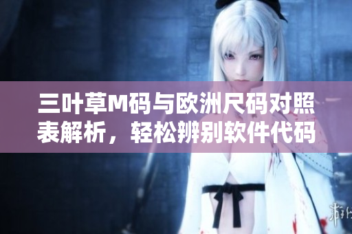 三葉草M碼與歐洲尺碼對照表解析，輕松辨別軟件代碼適配標(biāo)準(zhǔn)