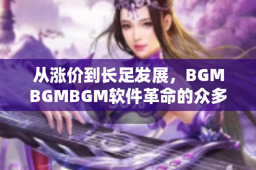 從漲價到長足發(fā)展，BGMBGMBGM軟件革命的眾多面向