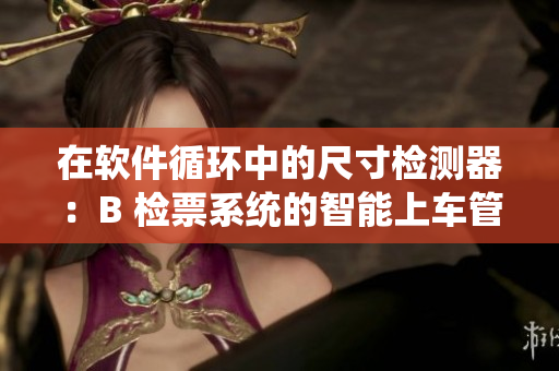 在軟件循環(huán)中的尺寸檢測器：B 檢票系統(tǒng)的智能上車管理