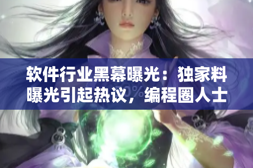 軟件行業(yè)黑幕曝光：獨(dú)家料曝光引起熱議，編程圈人士快來圍觀！