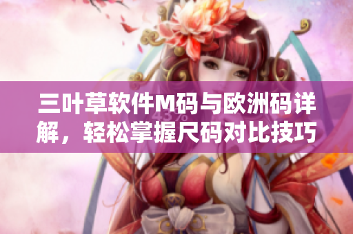 三葉草軟件M碼與歐洲碼詳解，輕松掌握尺碼對(duì)比技巧