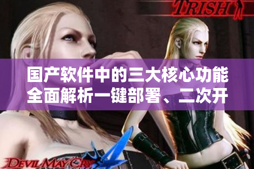 國產(chǎn)軟件中的三大核心功能全面解析一鍵部署、二次開發(fā)、三方接口