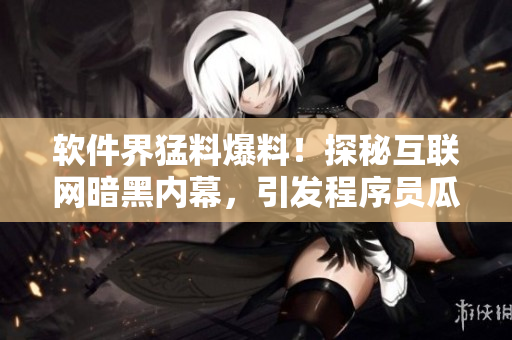 軟件界猛料爆料！探秘互聯(lián)網(wǎng)暗黑內(nèi)幕，引發(fā)程序員瓜友熱議