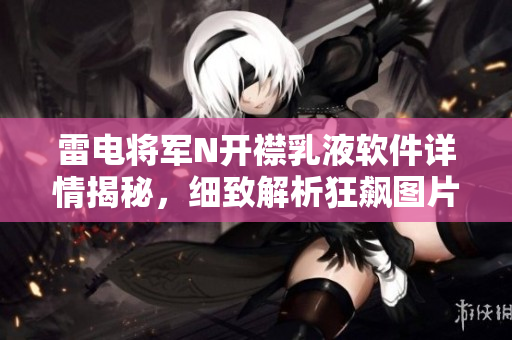 雷電將軍N開襟乳液軟件詳情揭秘，細致解析狂飆圖片特色及功能優(yōu)勢