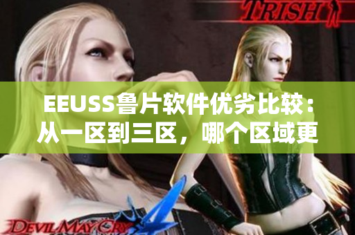EEUSS魯片軟件優(yōu)劣比較：從一區(qū)到三區(qū)，哪個區(qū)域更適合你？